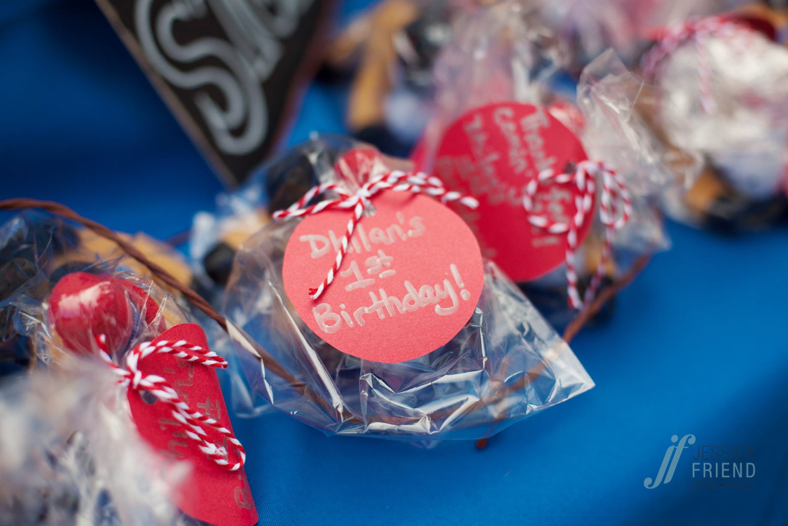 Dhilan_1st_bday-1010