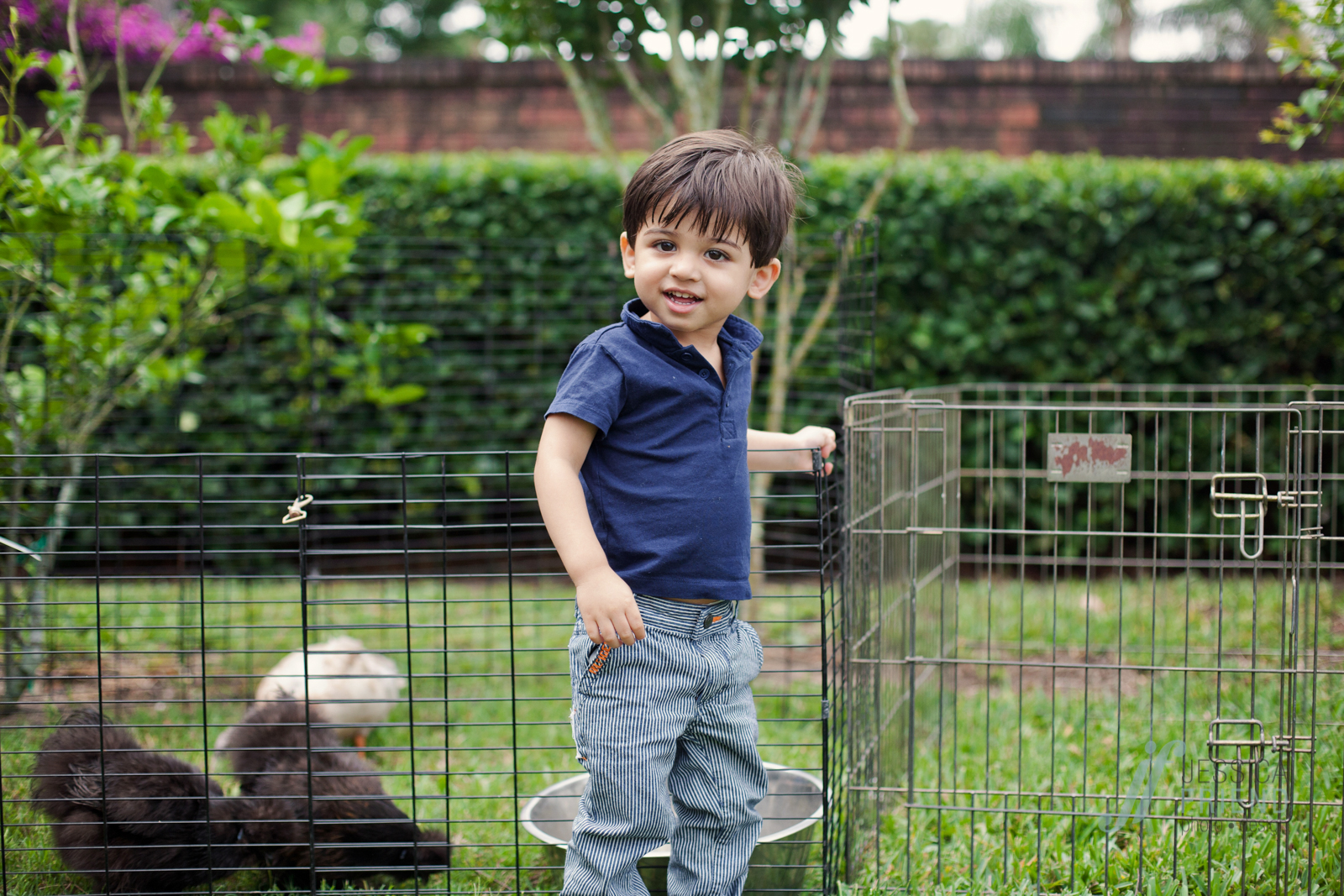 Dhilan_1st_bday-1125