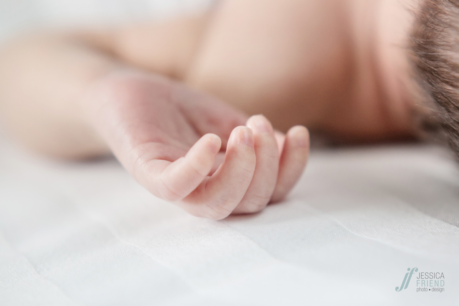 lifestyle newborn session